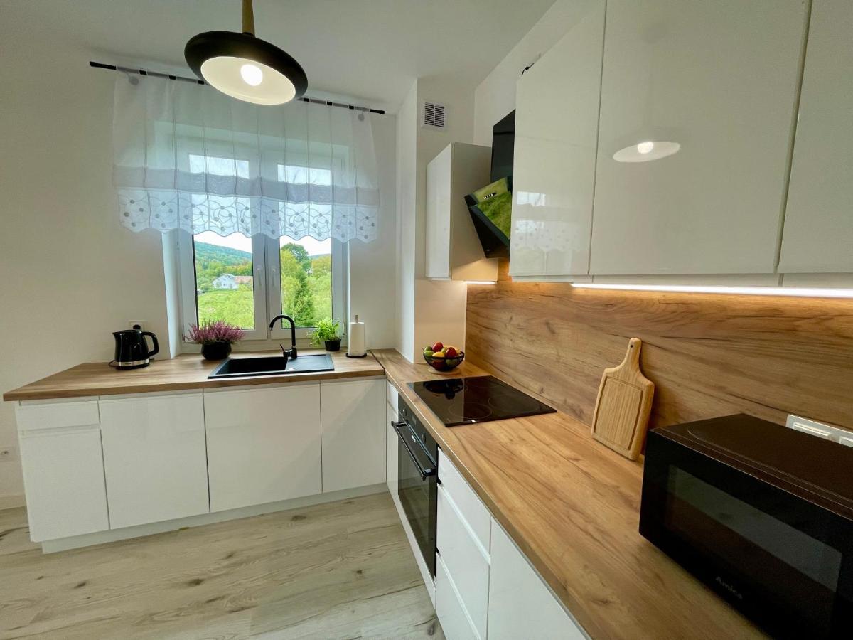 Apartament Jak Marzenie Ustrzyki Dolne Dış mekan fotoğraf